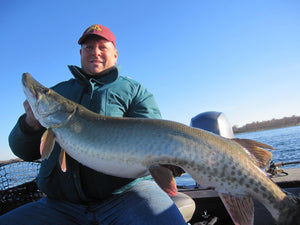 Fishing Tournaments Will Make You a Better Angler