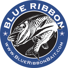 Blue Ribbon Bait & Tackle