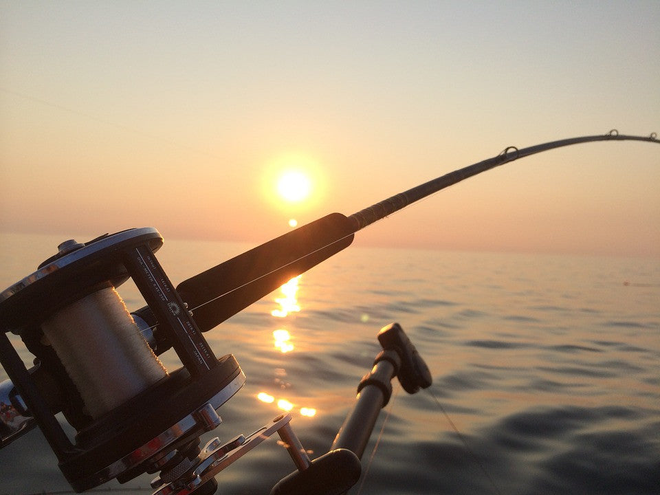 Walleye Fishing: Slow or Fast Fall Rate?